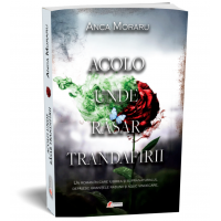 Acolo unde rasar trandafirii – Anca Moraru