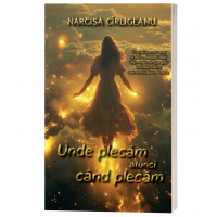 Unde plecam atunci cand plecam - Narcisa Cirligeanu