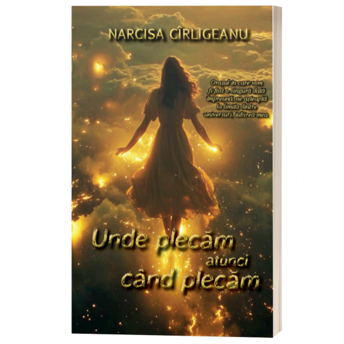 Unde plecam atunci cand plecam - Narcisa Cirligeanu