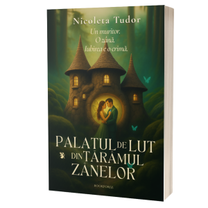 Palatul de lut din taramul zanelor- Nicoleta Tudor